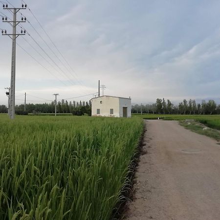 Apartamento Gegant De Ferro Sant Jaume d'Enveja Exterior foto